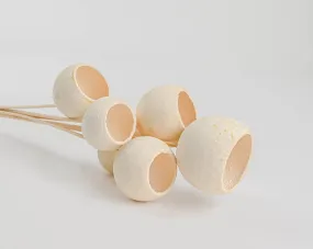 Bell Cups - Bleached