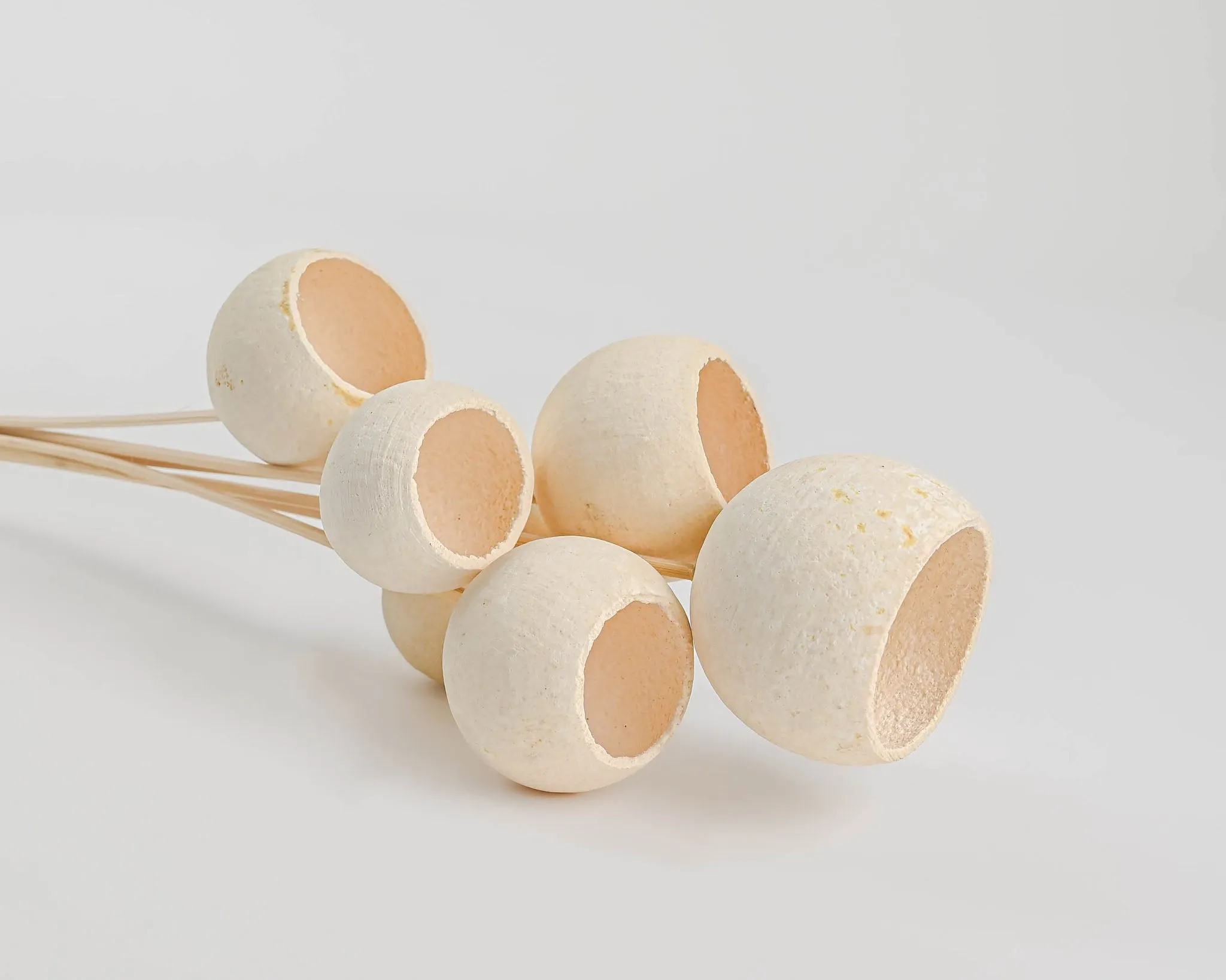Bell Cups - Bleached