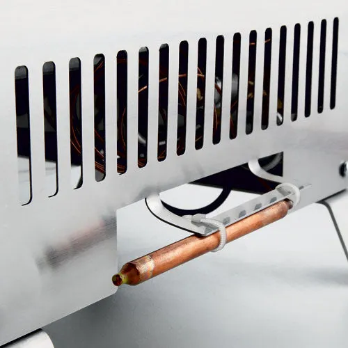 Bio Green Frosty Propane Gas Heater