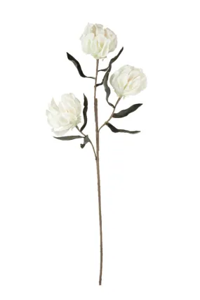 Botanical Beauty Floral Stem 3305