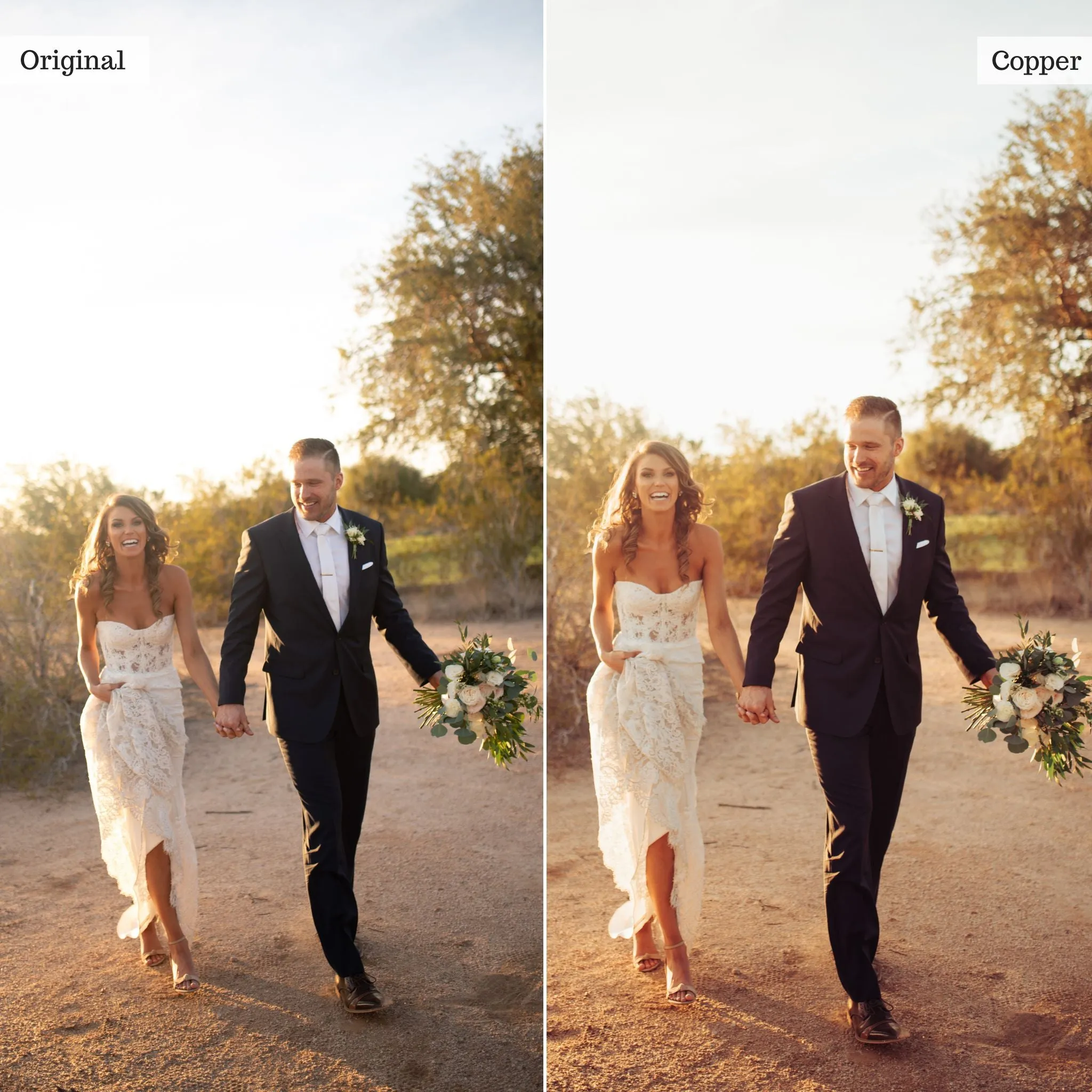 Copper -  Single Color Palette Presets for Lightroom Mobile & Desktop