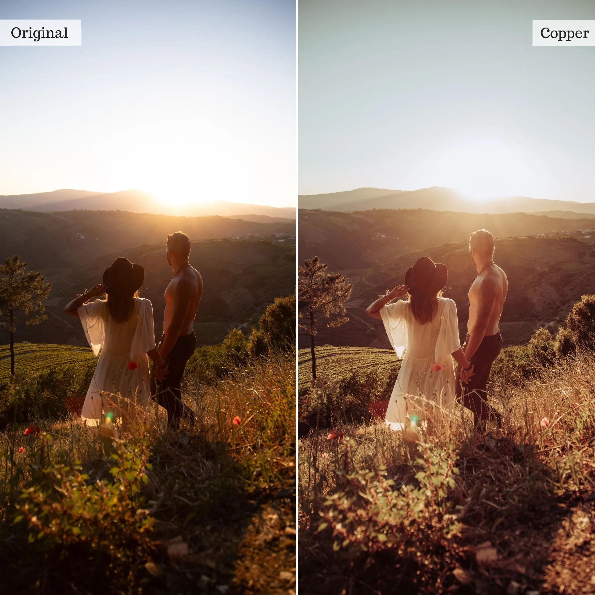 Copper -  Single Color Palette Presets for Lightroom Mobile & Desktop