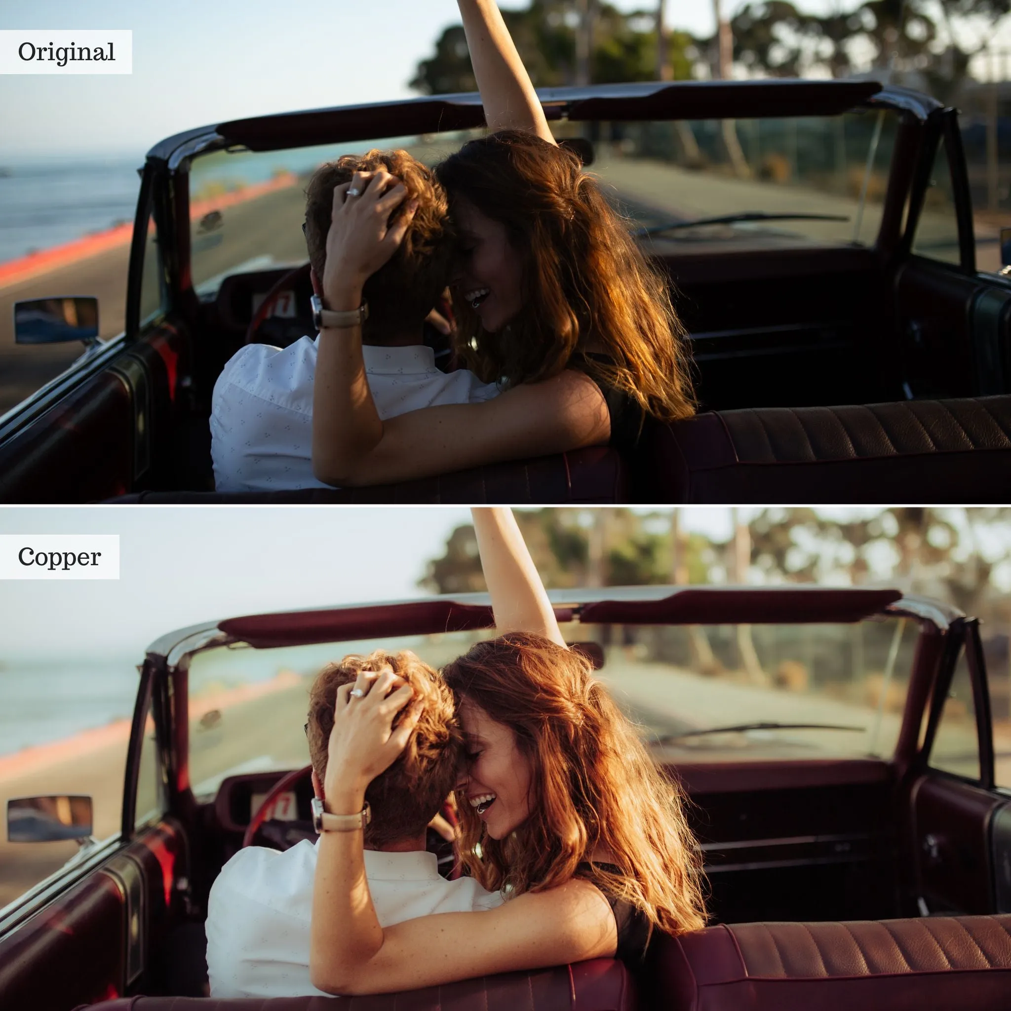 Copper -  Single Color Palette Presets for Lightroom Mobile & Desktop