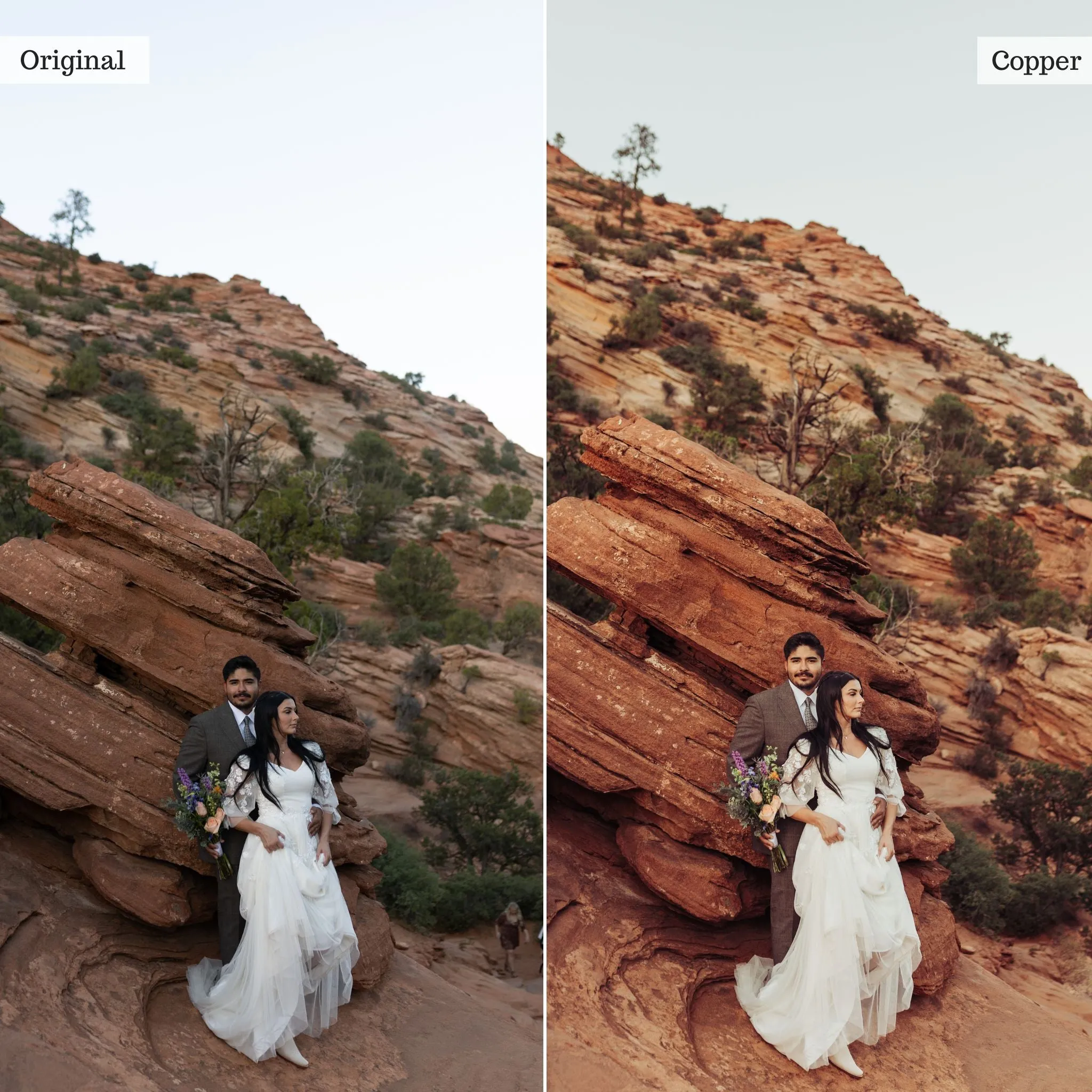 Copper -  Single Color Palette Presets for Lightroom Mobile & Desktop