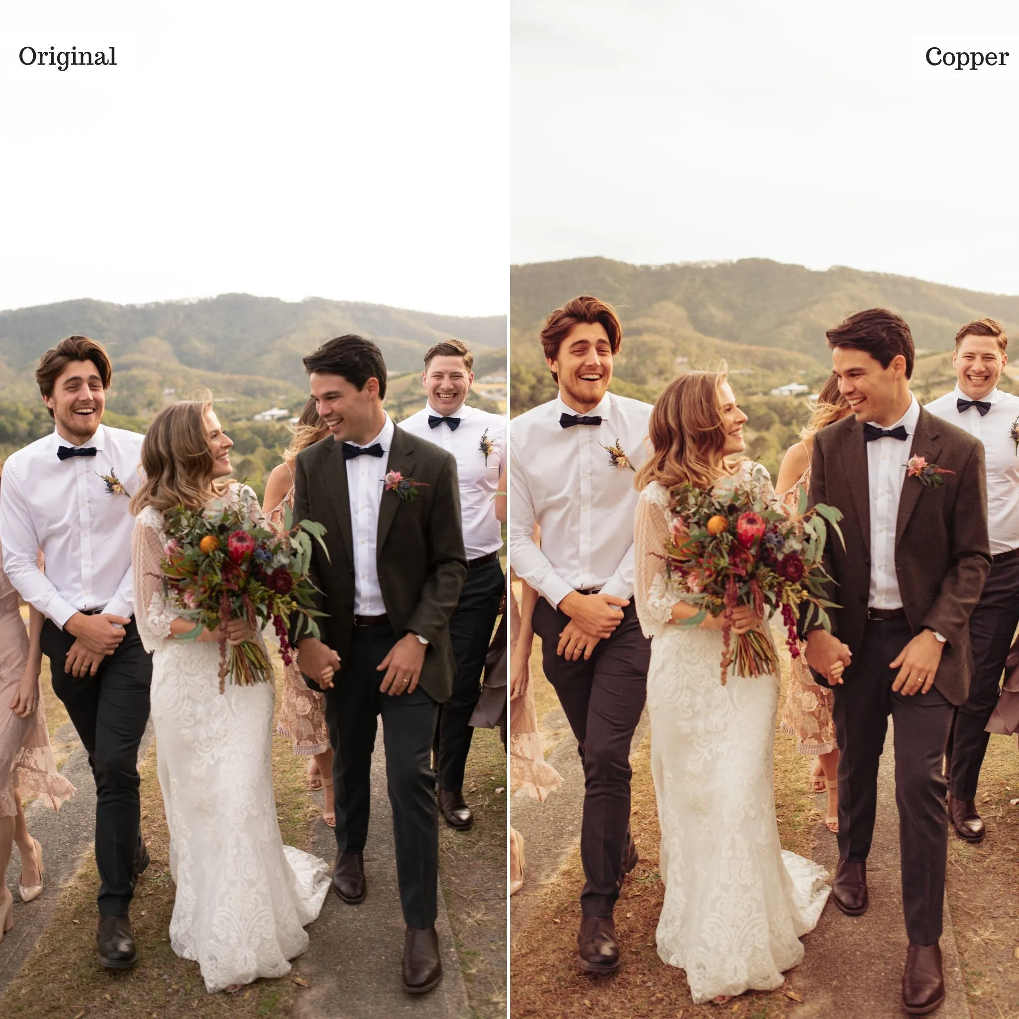 Copper -  Single Color Palette Presets for Lightroom Mobile & Desktop