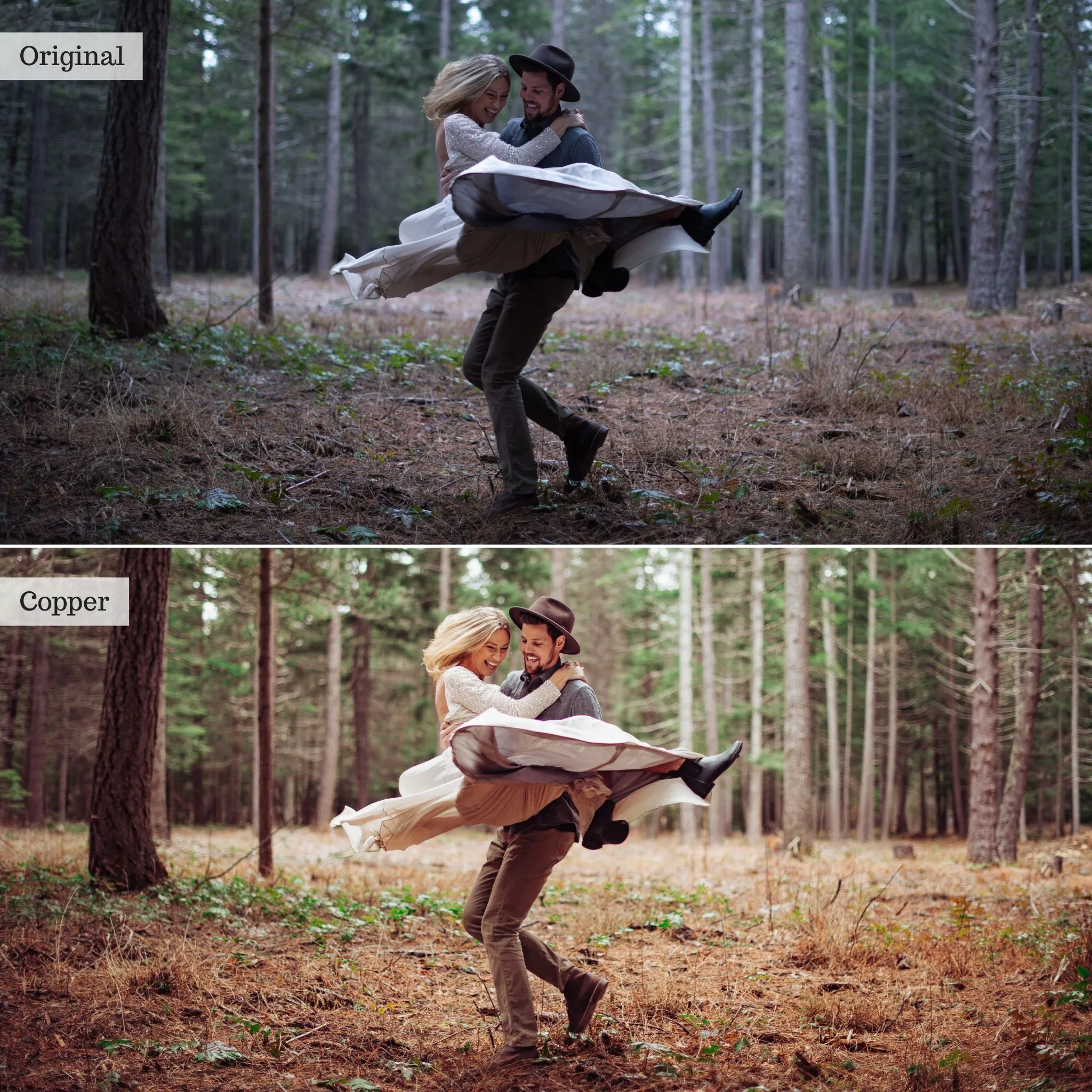 Copper -  Single Color Palette Presets for Lightroom Mobile & Desktop