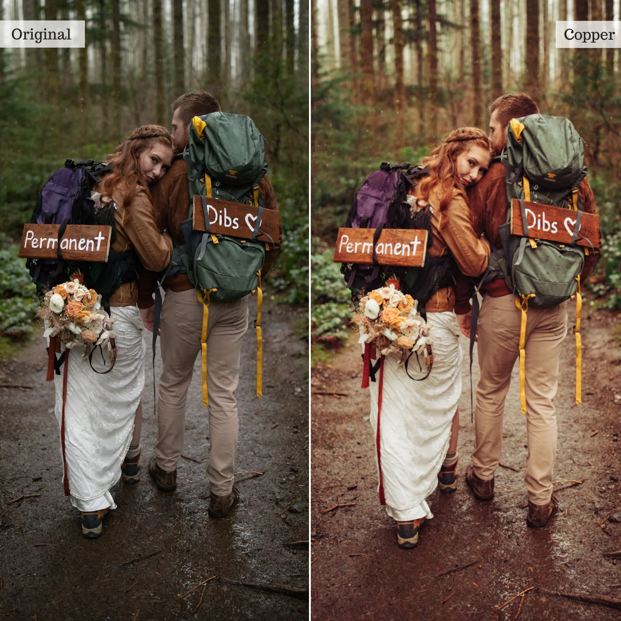 Copper -  Single Color Palette Presets for Lightroom Mobile & Desktop