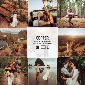 Copper -  Single Color Palette Presets for Lightroom Mobile & Desktop