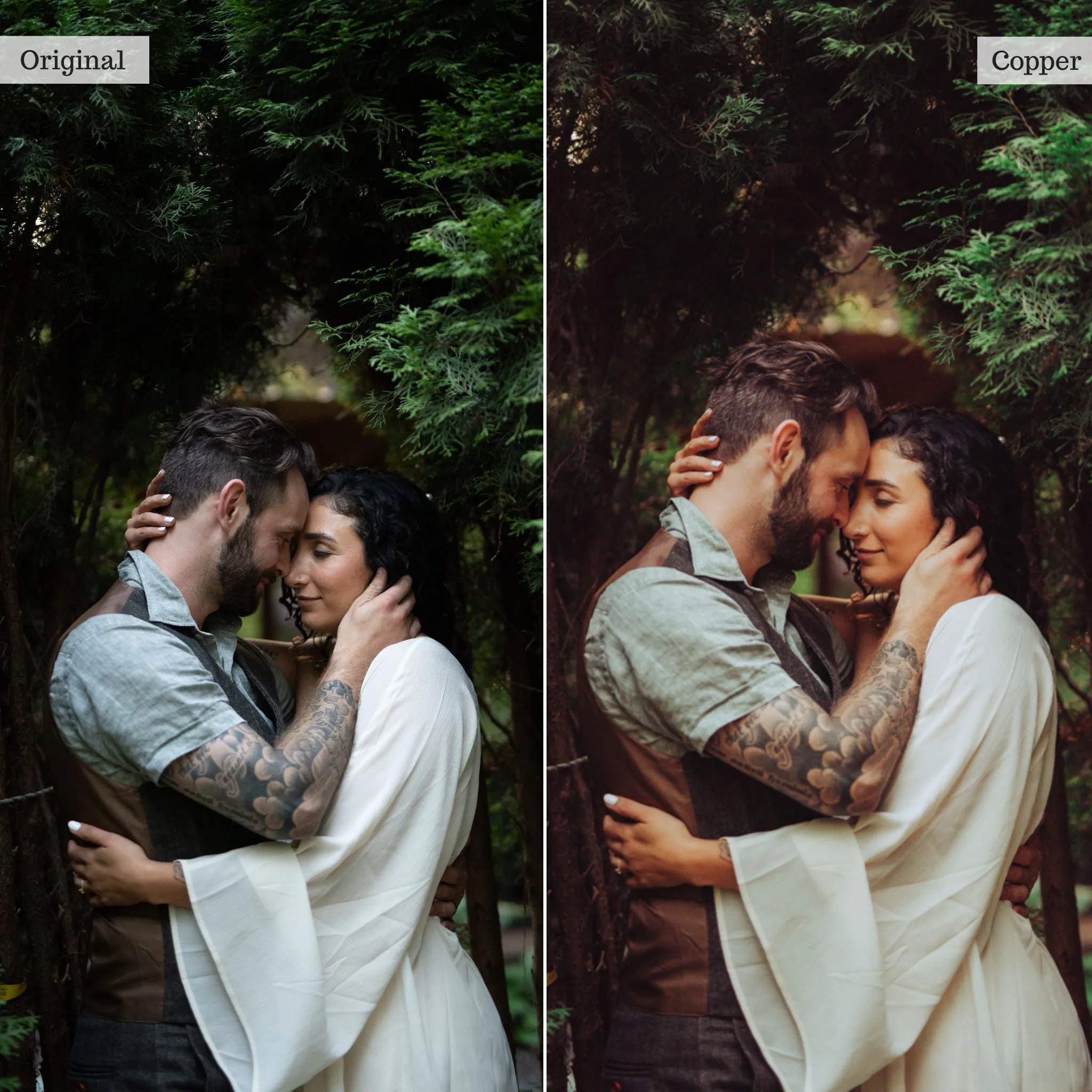 Copper -  Single Color Palette Presets for Lightroom Mobile & Desktop