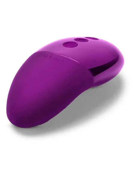 Le Wand Chrome Collection Point Vibrator