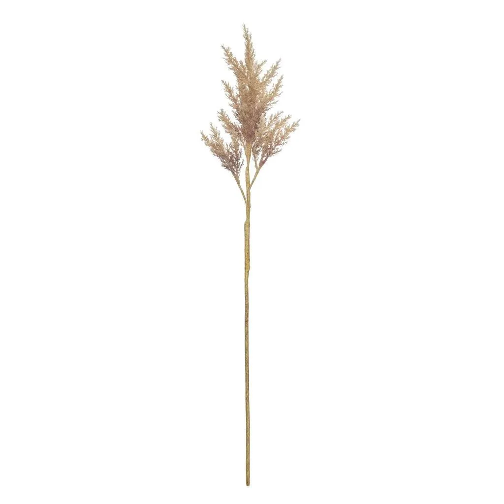 Rogue Astilbe Stem 16x14x82cm Brown