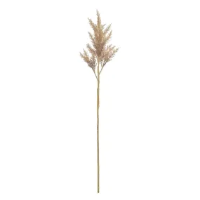 Rogue Astilbe Stem 16x14x82cm Brown