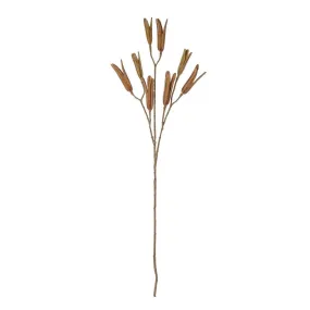 Rogue Lily Seed Pod Spray 79cm Brown