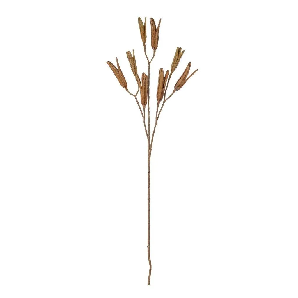 Rogue Lily Seed Pod Spray 79cm Brown