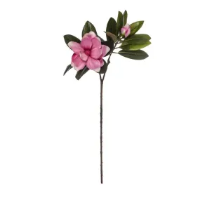 Rogue Magnolia Spray 30x20x71cm Pink