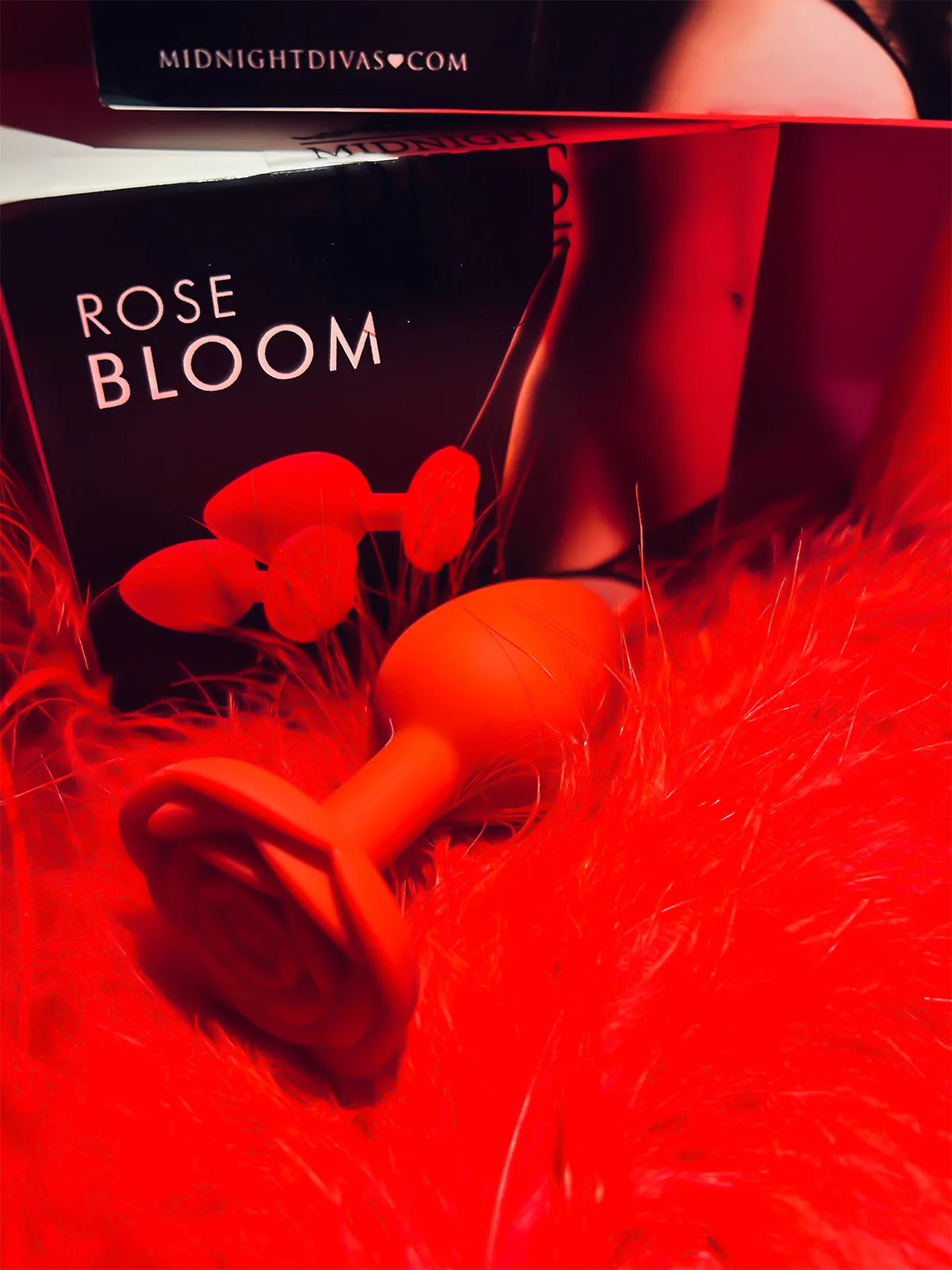 Rose Bloom