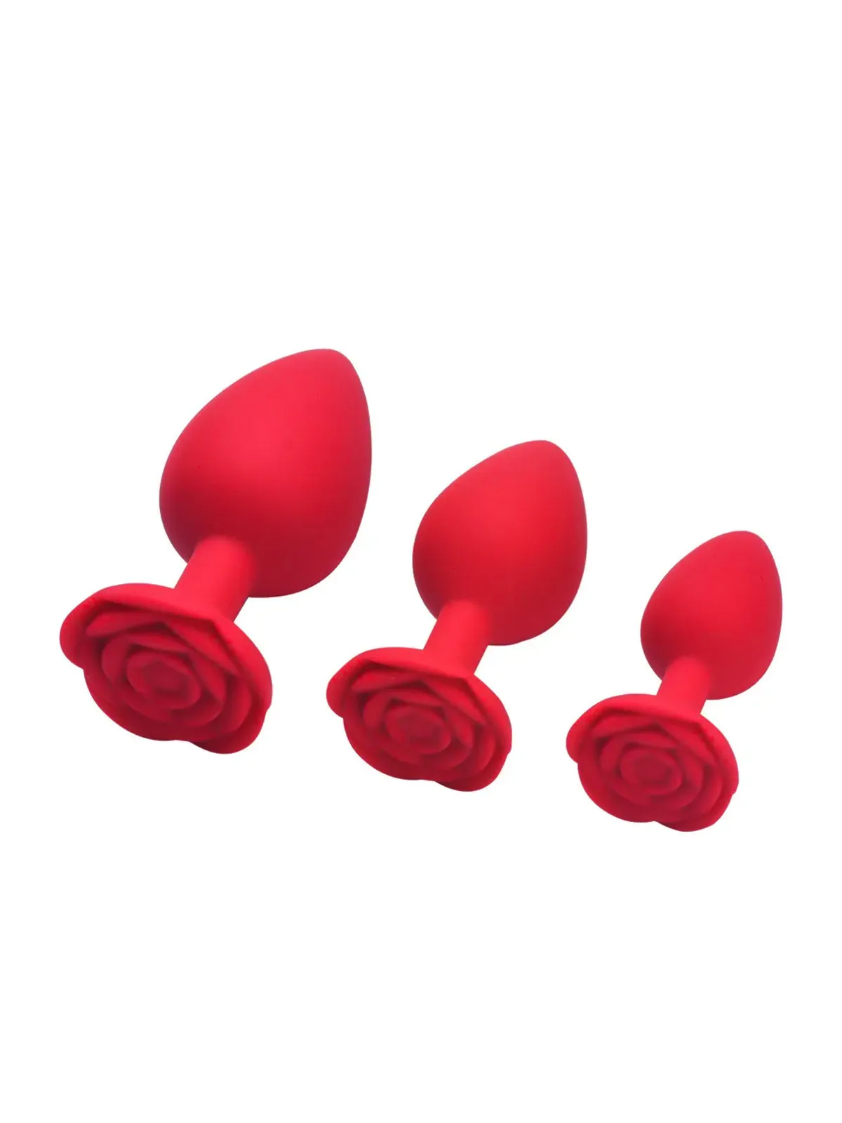 Rose Bloom