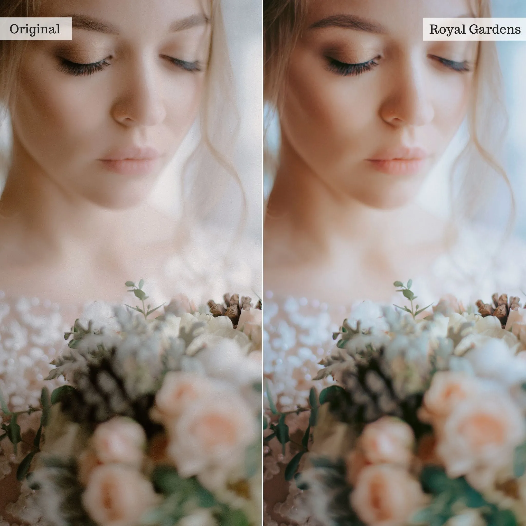 Royal Gardens -  Single Color Palette Presets for Lightroom Mobile & Desktop