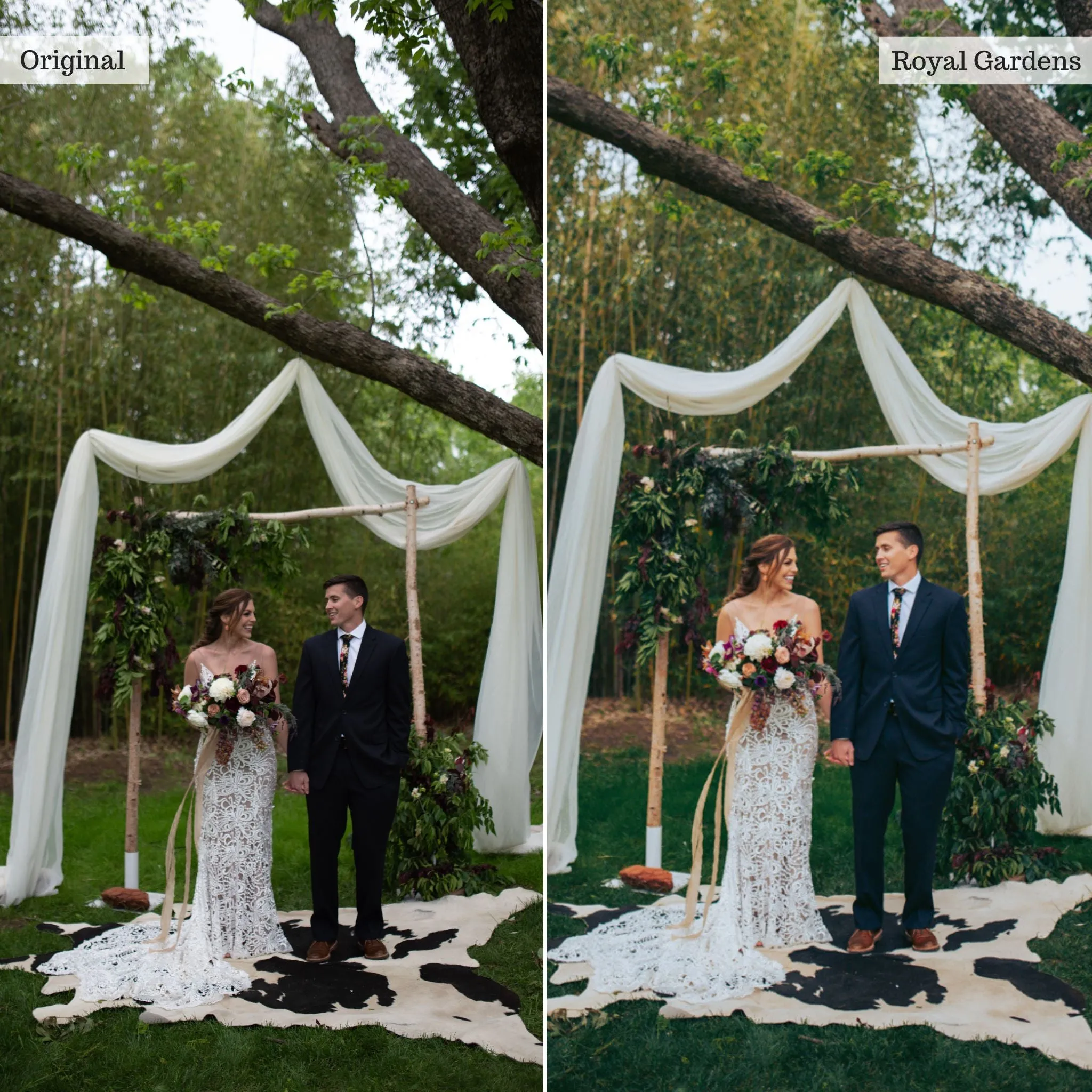 Royal Gardens -  Single Color Palette Presets for Lightroom Mobile & Desktop