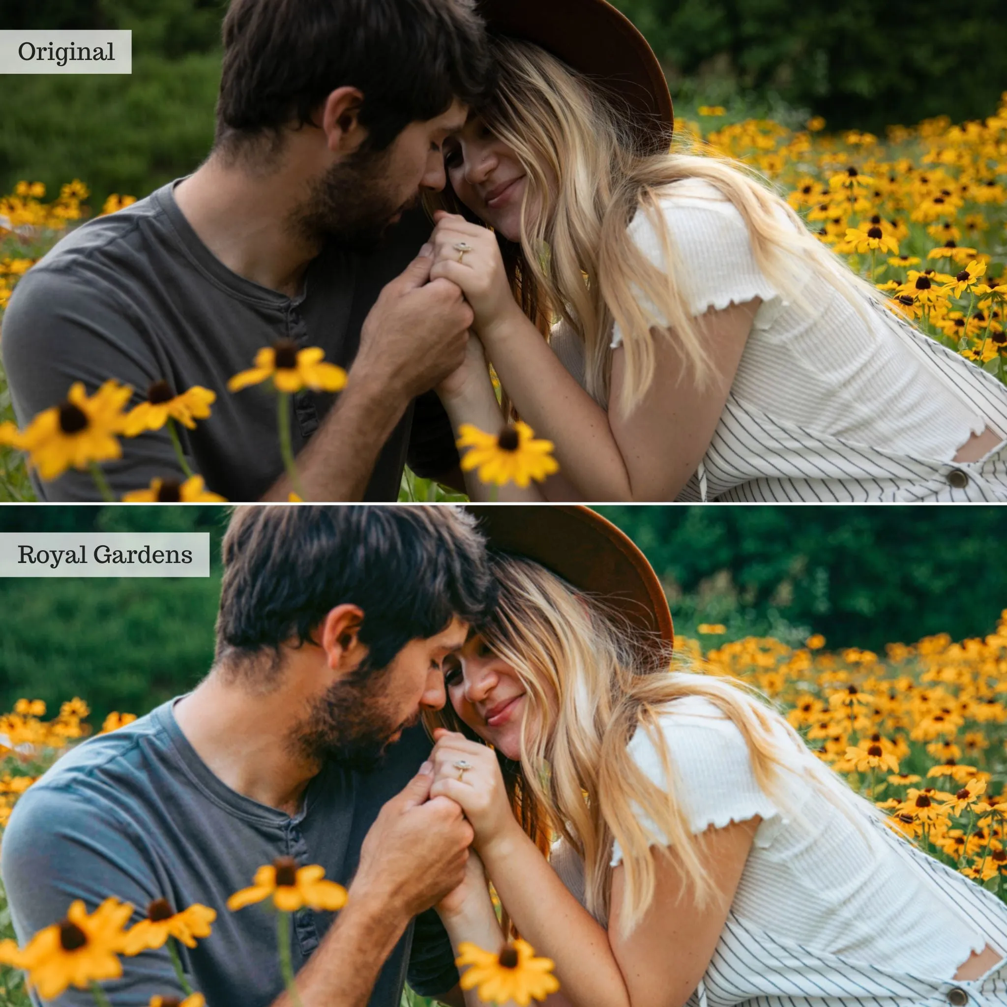 Royal Gardens -  Single Color Palette Presets for Lightroom Mobile & Desktop