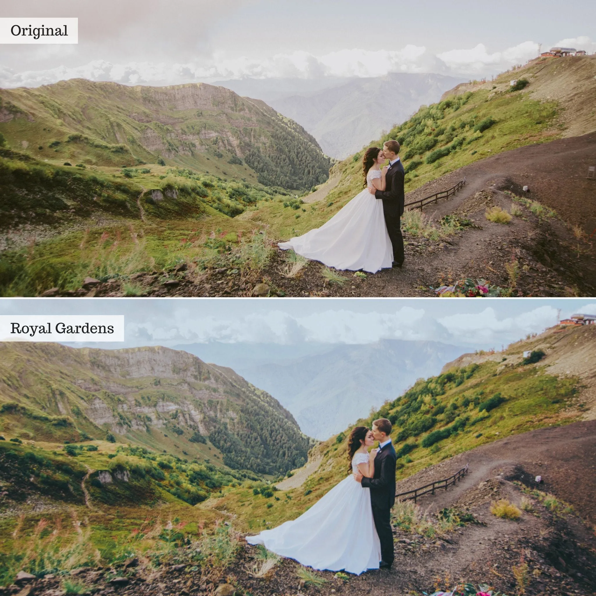 Royal Gardens -  Single Color Palette Presets for Lightroom Mobile & Desktop