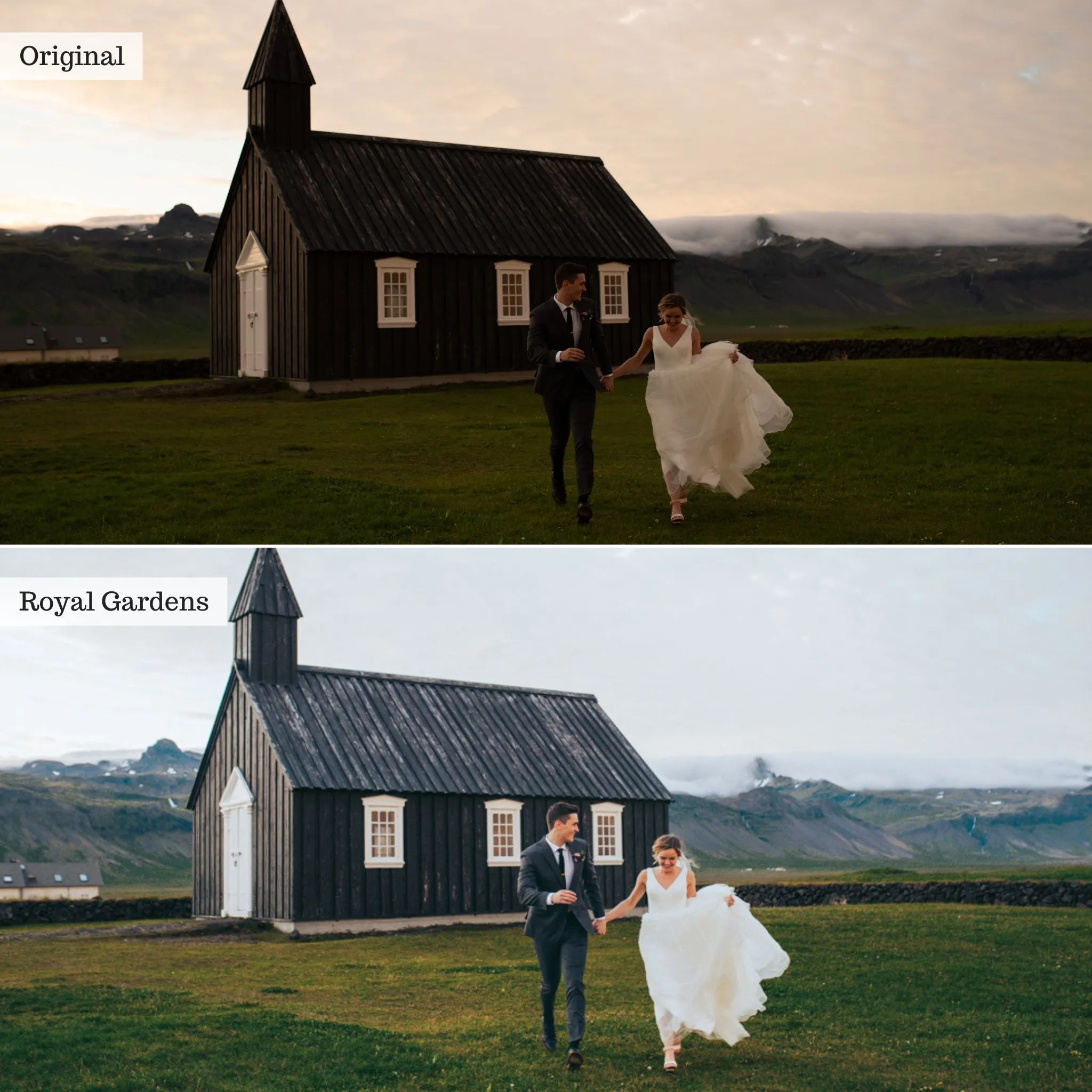 Royal Gardens -  Single Color Palette Presets for Lightroom Mobile & Desktop