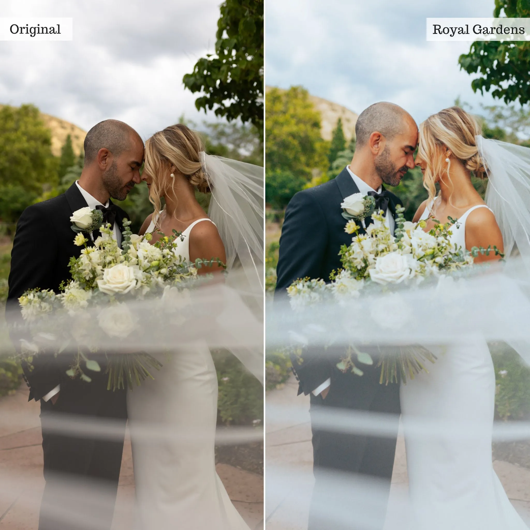 Royal Gardens -  Single Color Palette Presets for Lightroom Mobile & Desktop