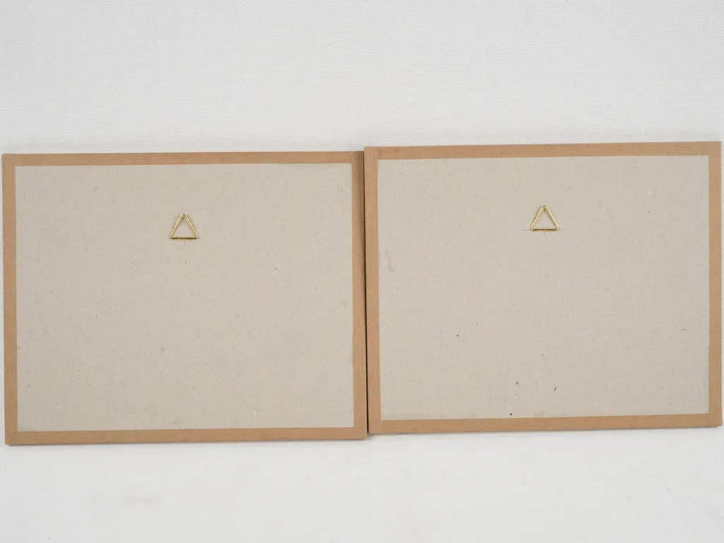 Set of 8 Antique Dried Botanicals - 12¼" x 9¾"
